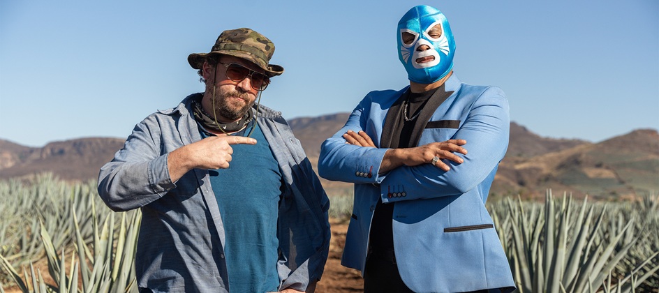 Don Gato campaign gets a Lindsay soundtrack